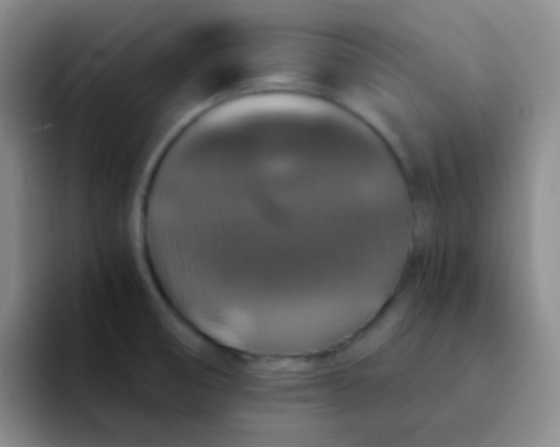 X0000091941474200709261923