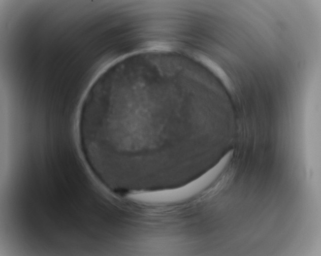 X0000091941475200709261923