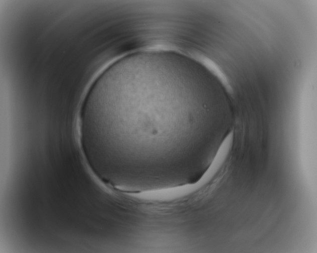 X0000091941476200709261923