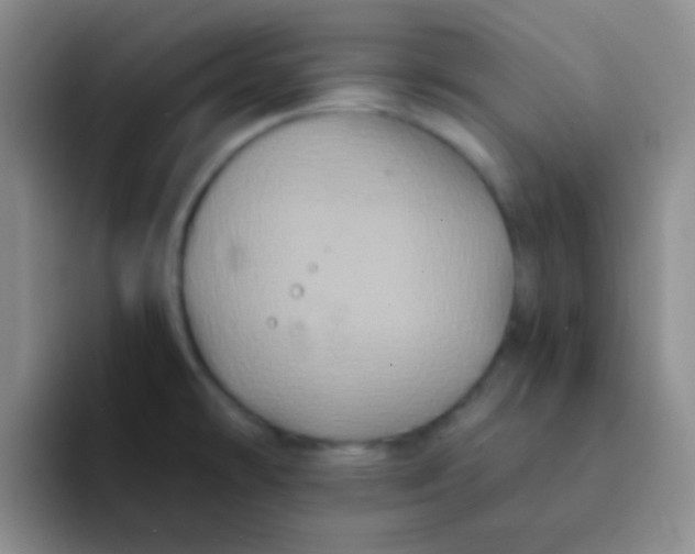 X0000091941478200709261923