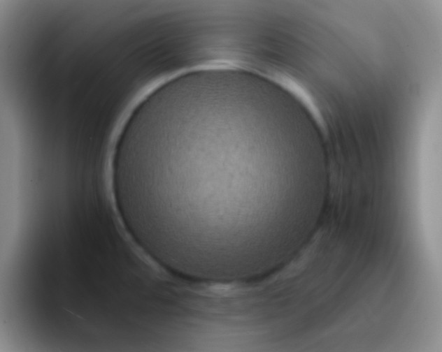 X0000091941480200709261923