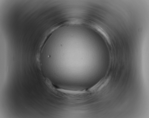 X0000091941481200709261923