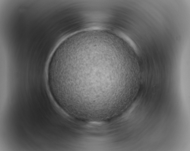 X0000091941483200709261923