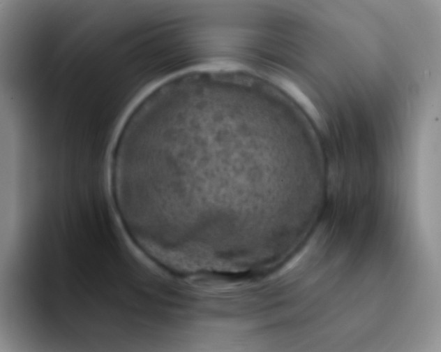 X0000091941484200709261923