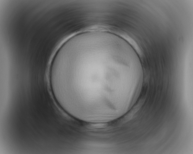 X0000091941486200709261923