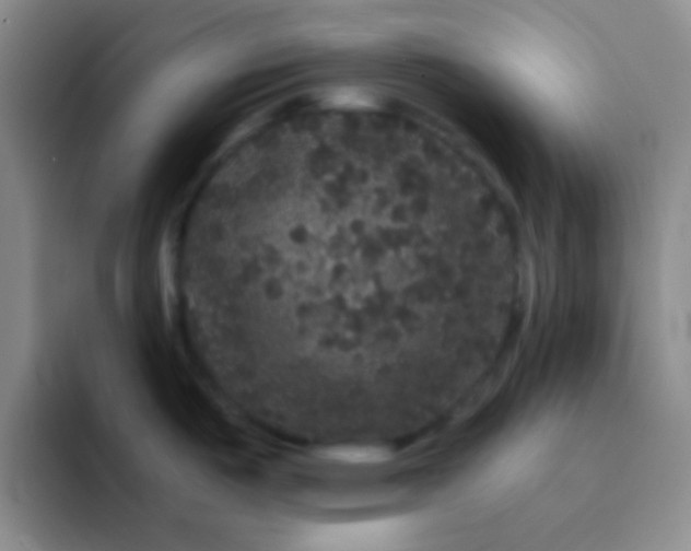 X0000091941487200709261923