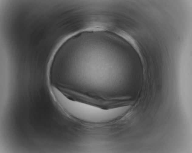 X0000091941488200709261923