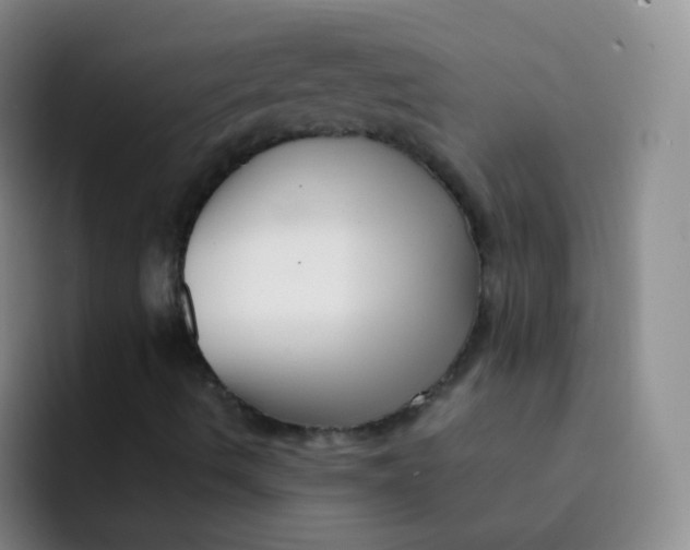 X0000091941490200709261923