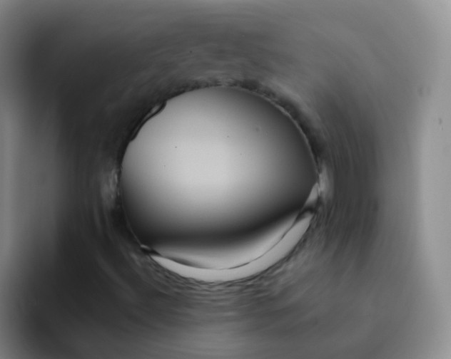 X0000091941492200709261923