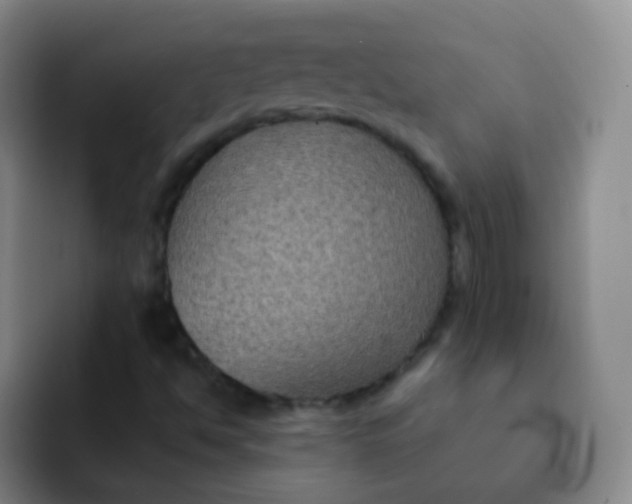 X0000091941494200709261923