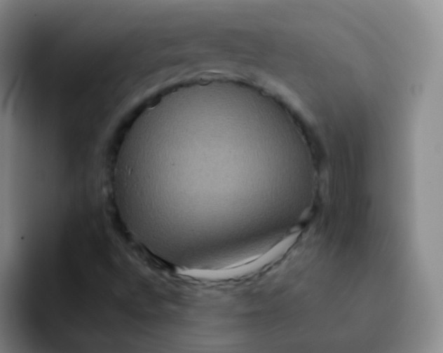 X0000091941496200709261923