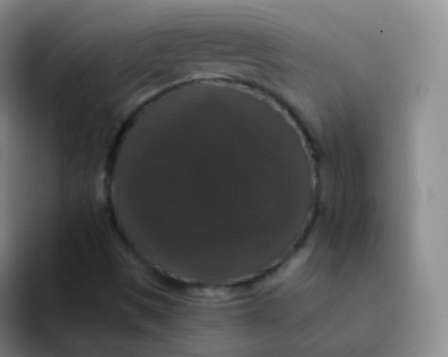 X0000091941497200709261923