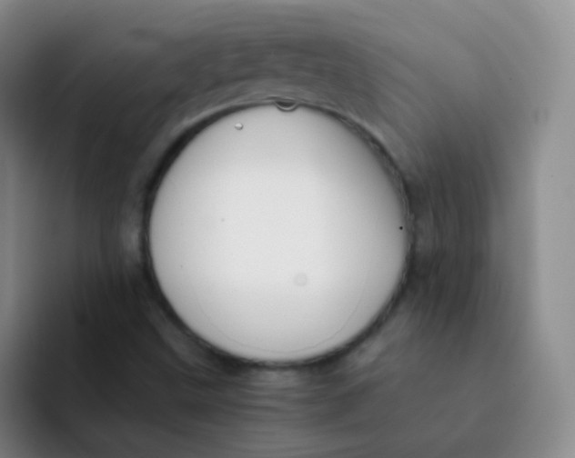 X0000091941499200709261923