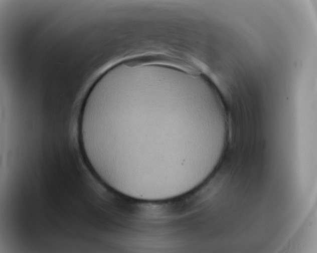 X0000091941500200709261923