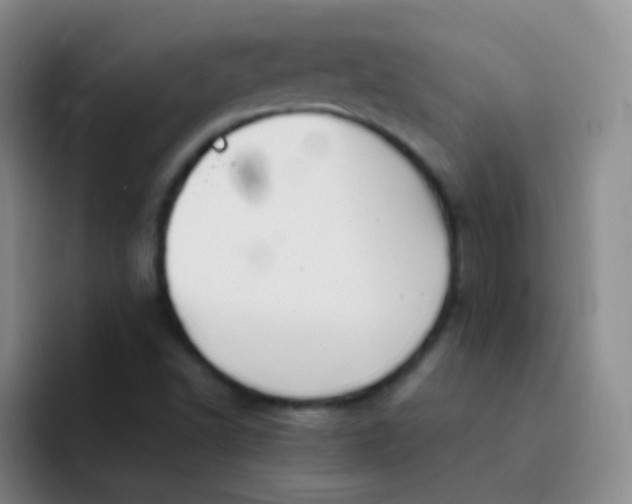 X0000091941502200709261923