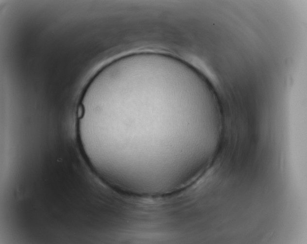 X0000091941504200709261923