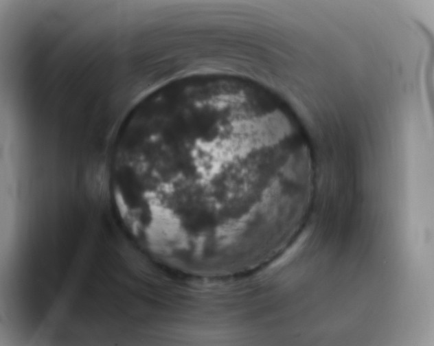 X0000091941505200709261923