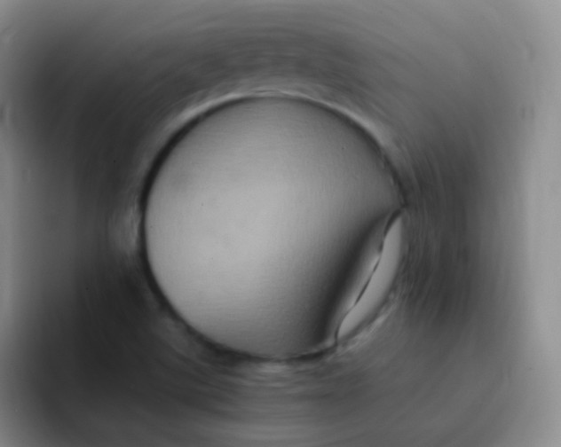 X0000091941507200709261923