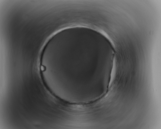 X0000091941508200709261923