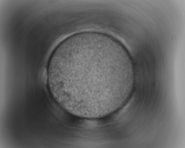 X0000091941509200709261923