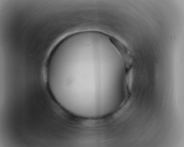 X0000091941510200709261923