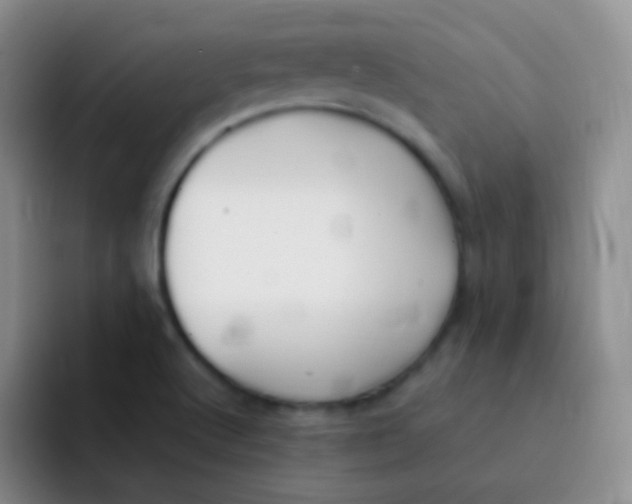 X0000091941512200709261923