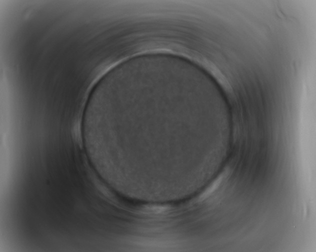 X0000091941513200709261923