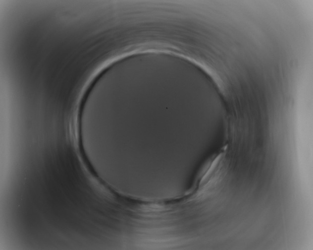 X0000091941515200709261923