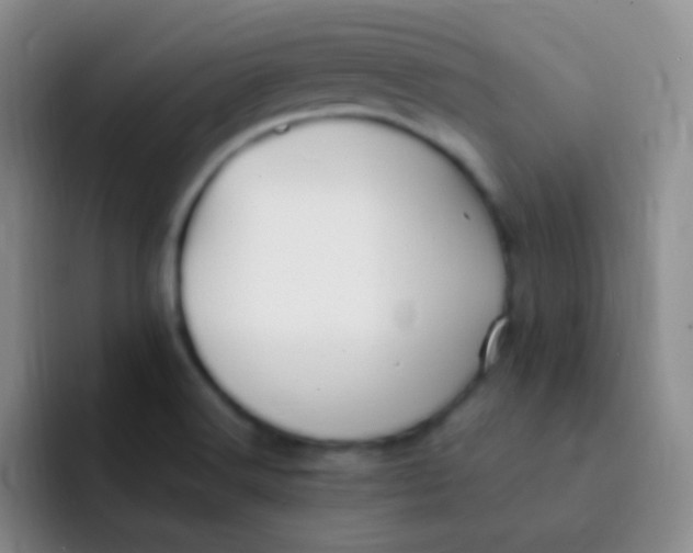 X0000091941516200709261923