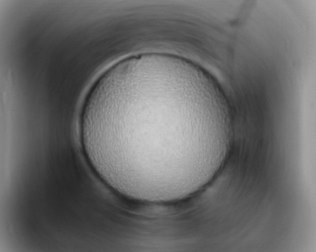 X0000091941517200709261923