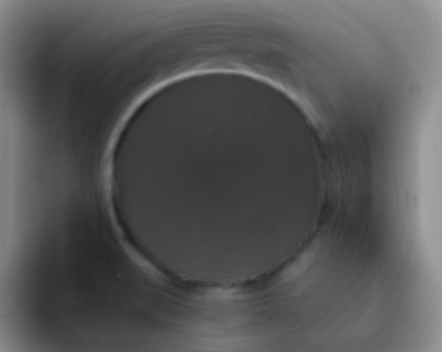 X0000091941519200709261923