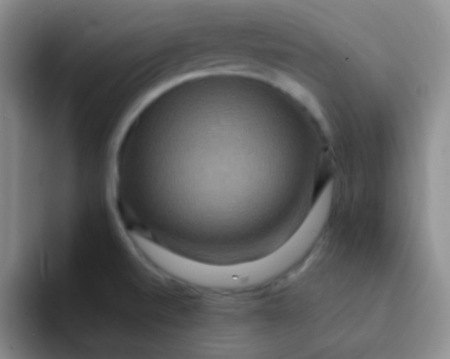 X0000091941520200709261923