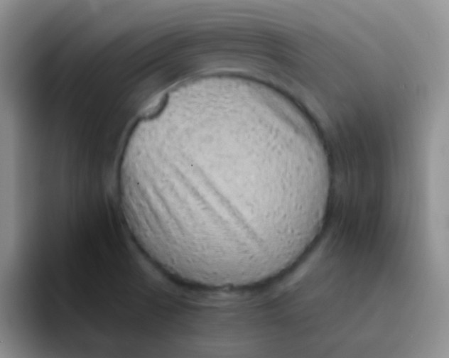 X0000091941521200709261923