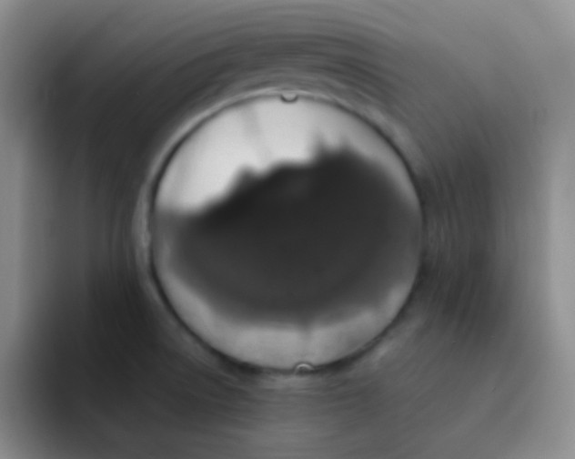 X0000091941522200709261923