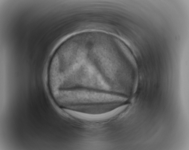 X0000091941523200709261923