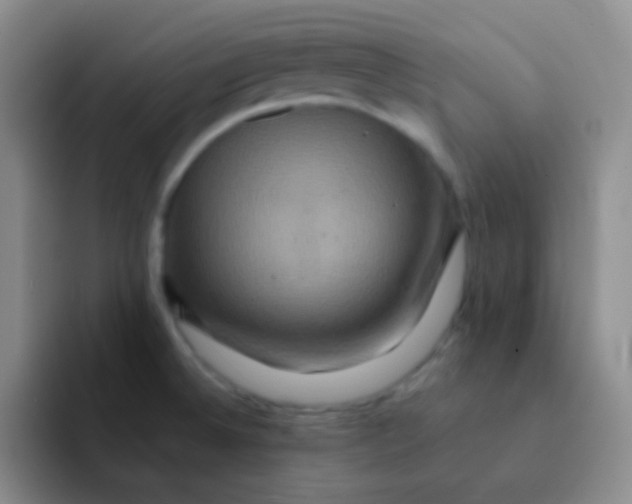 X0000091941524200709261923