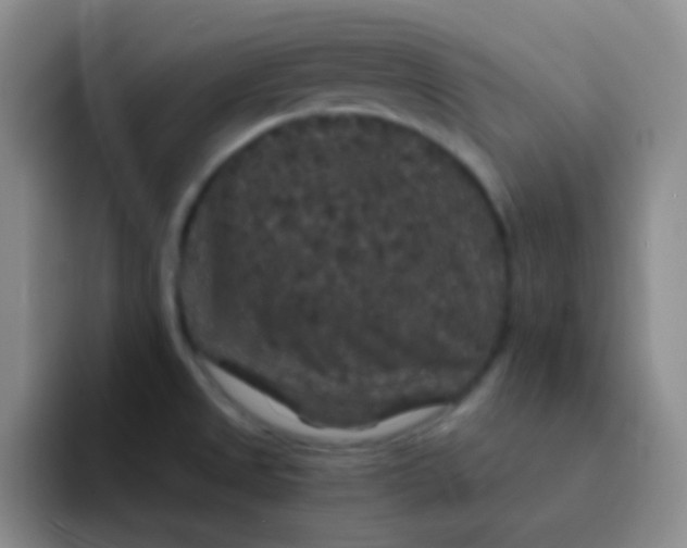 X0000091941525200709261923