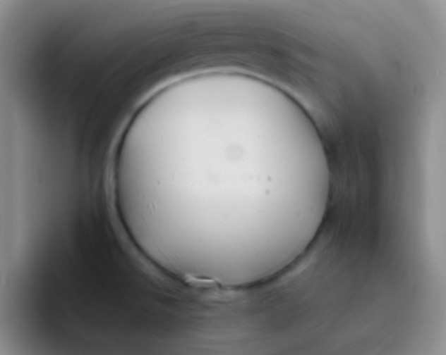 X0000091941526200709261923