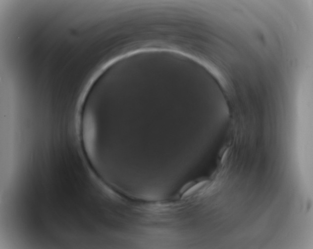 X0000091941527200709261923