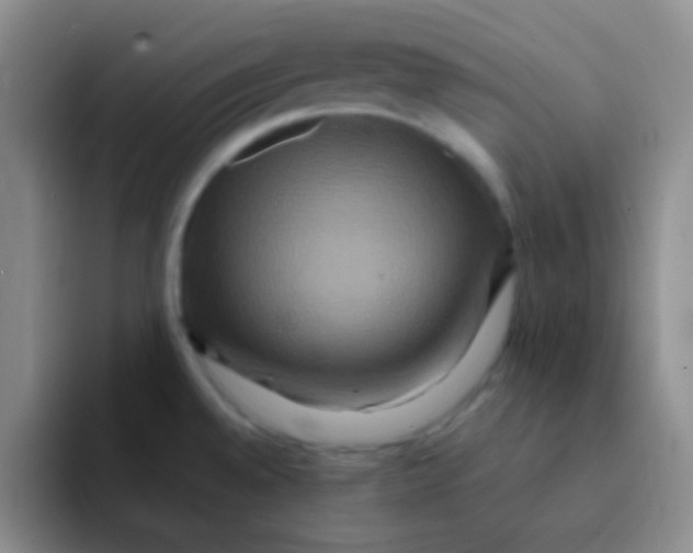 X0000091941528200709261923