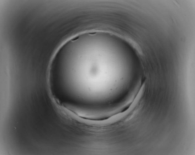 X0000091941530200709261923