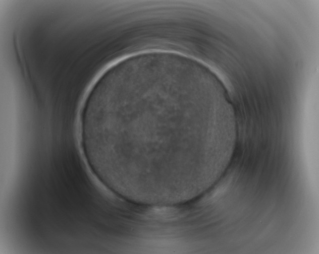 X0000091941531200709261923