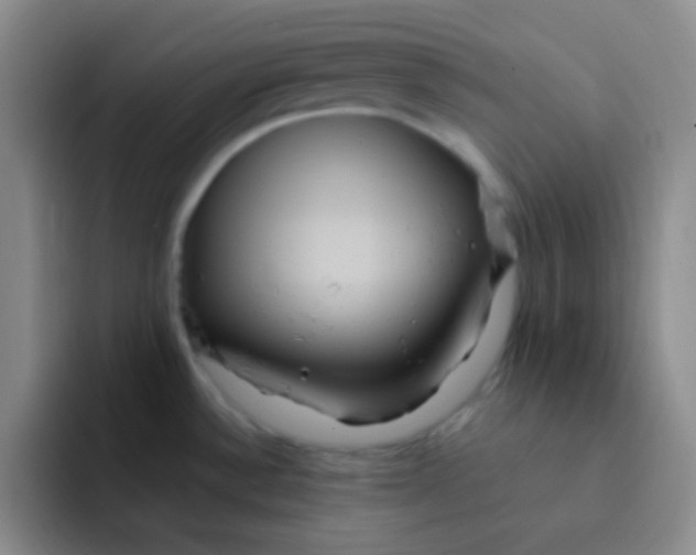 X0000091941532200709261923