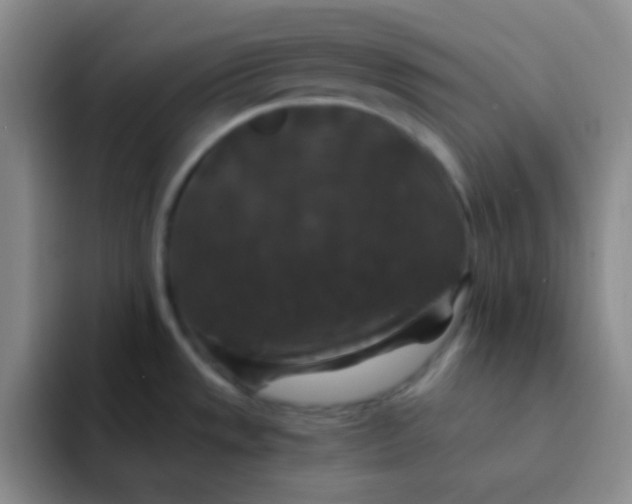 X0000091941533200709261923