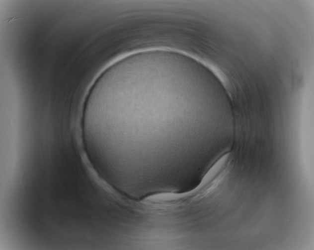 X0000091941534200709261923