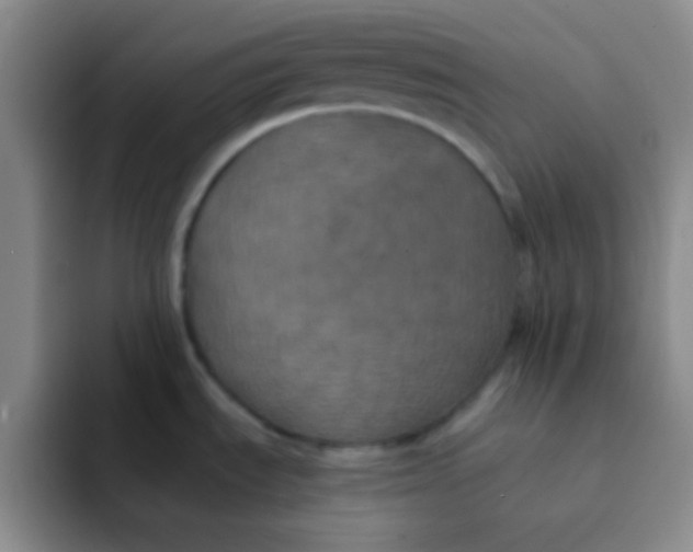 X0000091941535200709261923