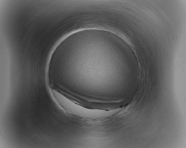 X0000091941536200709261923