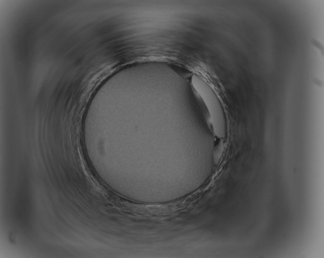 X0000091940001200710031126