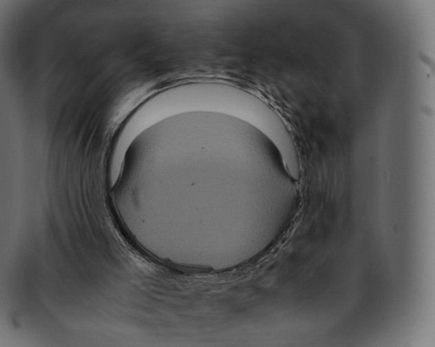 X0000091940005200710031126