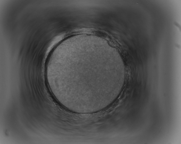 X0000091940006200710031126